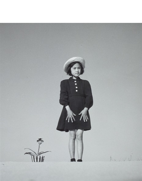 Shoji Ueda: Works for Sale, Upcoming Auctions & Past Results