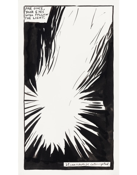 Raymond Pettibon: Works for Sale, Upcoming Auctions & Past Results