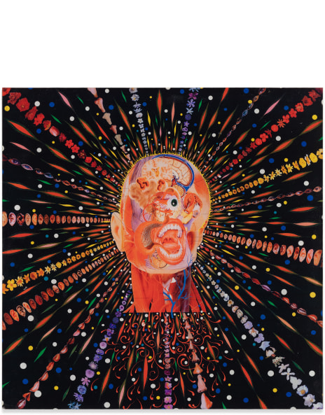 Fred Tomaselli　フレッド・トマセリ Fred Tomaselli - - Exhibitions - James Cohan