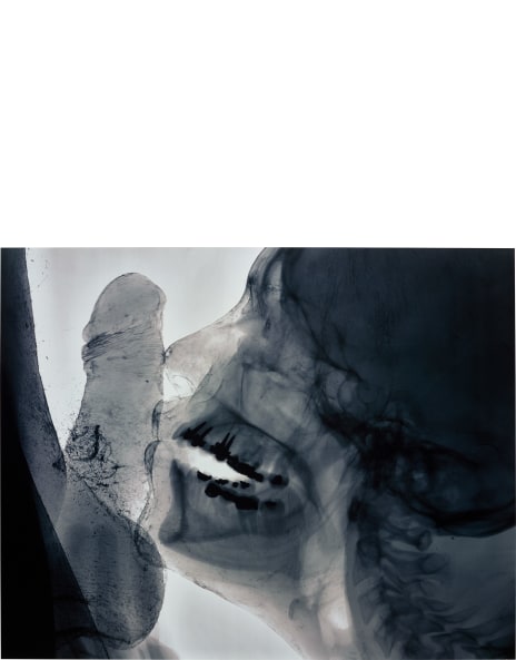 Wim Delvoye: Works for Sale, Upcoming Auctions & Past Results