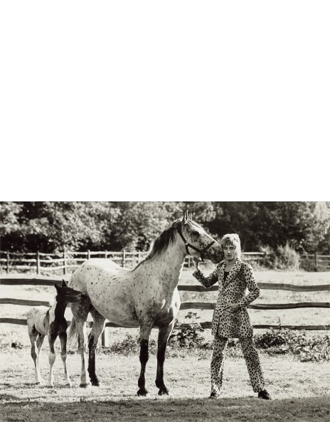 16 X 20 - 11,184 For Sale on 1stDibs  tyler o'neill bodybuilder, terry o'neill  bodybuilder, terry o'neill liverpool