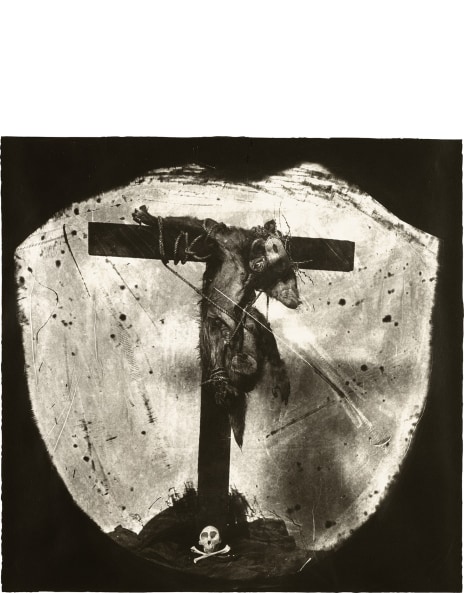 Joel-Peter Witkin: Works for Sale, Upcoming Auctions & Past Results