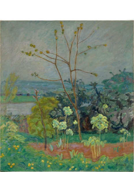 Pierre Bonnard: 拍賣品，即將舉行的拍賣及過去拍賣成績