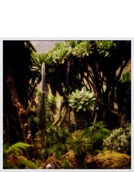 Darren Almond: Works for Sale, Upcoming Auctions & Past Results