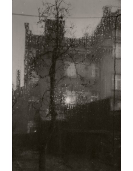 Josef Sudek: Works for Sale, Upcoming Auctions & Past Results Josef Sudek: Works for Sale, Upcoming Auctions & Past Results