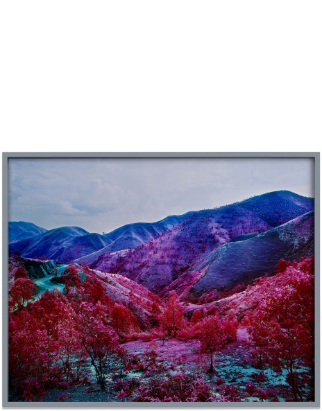 Richard Mosse: Works for Sale, Upcoming Auctions & Past Results