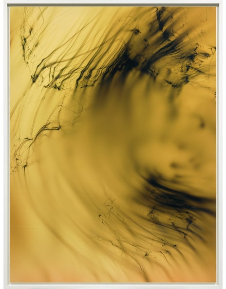 Wolfgang Tillmans: Works for Sale, Upcoming Auctions & Past