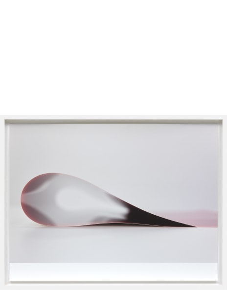 Wolfgang Tillmans: Works for Sale, Upcoming Auctions & Past