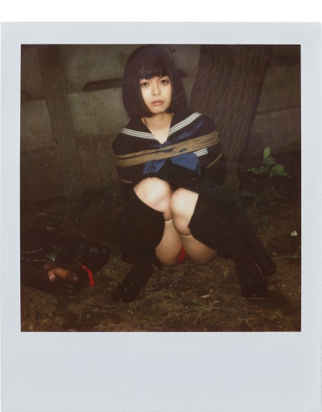 荒木経惟 Nobuyoshi Araki: Works for Sale, Upcoming Auctions & Past