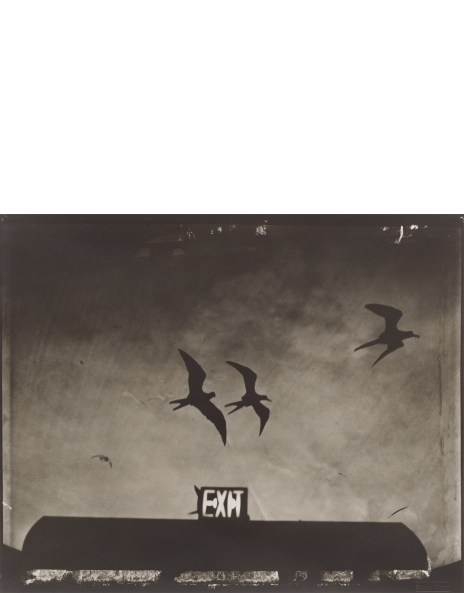 【ORIENT EXPRESS：SARAH ＭOON】Sarah Moon 新品 Orient Express by Sarah Moon | Imaginary Journey Aboard