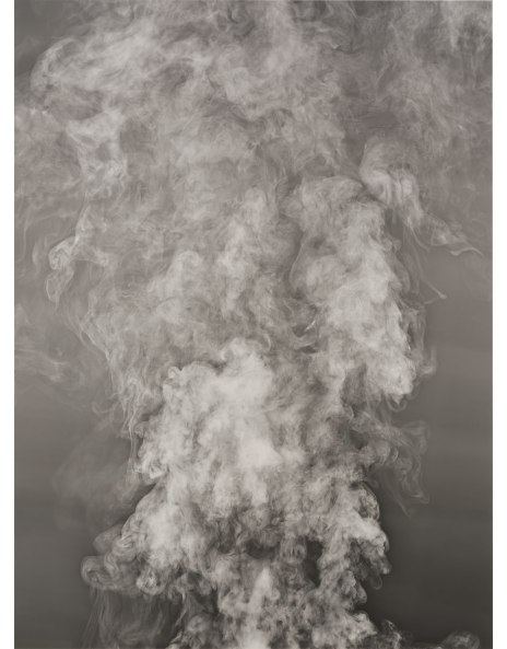 Adam Fuss: Works for Sale, Upcoming Auctions & Past Results