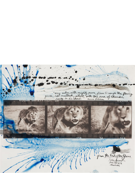 Peter Beard: Works for Sale, Upcoming Auctions & Past Results Peter Beard: Works for Sale, Upcoming Auctions & Past Results