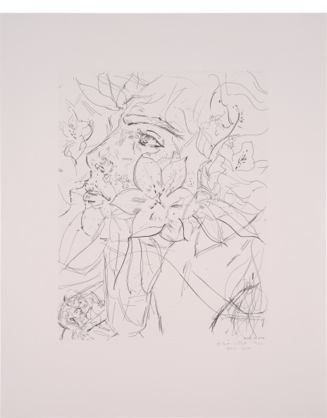 Elizabeth Peyton、Napoleon、希少画集画、新品額装付