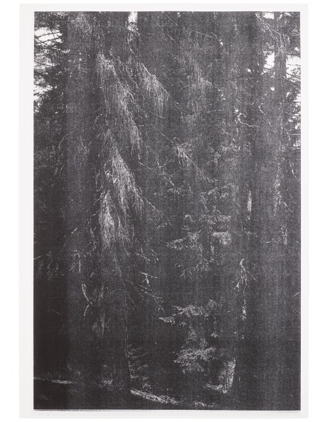 Wolfgang Tillmans: Works for Sale, Upcoming Auctions & Past