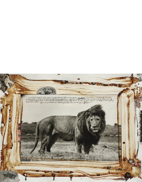 【Peter Beard 2010 Calendar】 Peter Beard Peter Beard 2010 Calendar】 Peter Beard アート・デザイン・音楽
