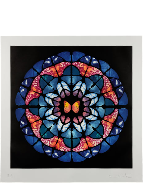 Damien Hirst: Works for Sale, Upcoming Auctions & Past Results