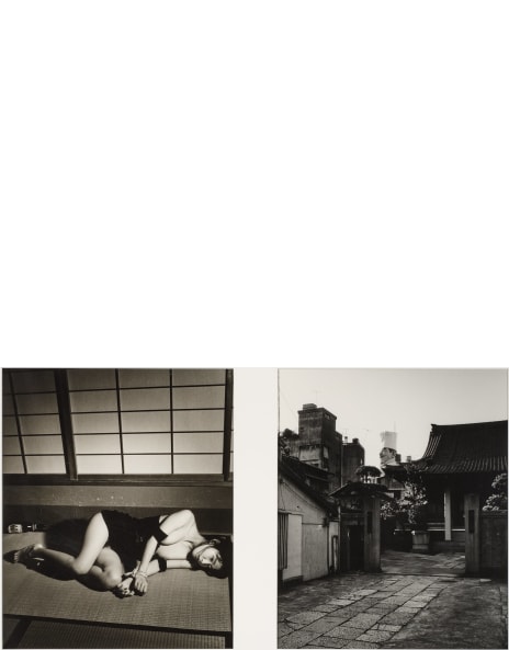 荒木経惟 Nobuyoshi Araki: Works for Sale, Upcoming Auctions & Past