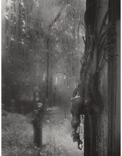 Josef Sudek: Works for Sale, Upcoming Auctions & Past Results