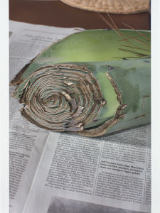 Wolfgang Tillmans - Phillips x Artsy: Lot 15 August 2020 | Phillips