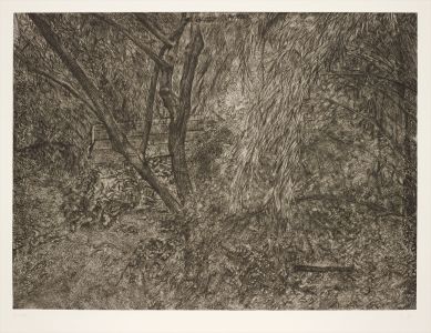 Lucian Freud: The Painter's Etchings: Figura, Starr, Freud