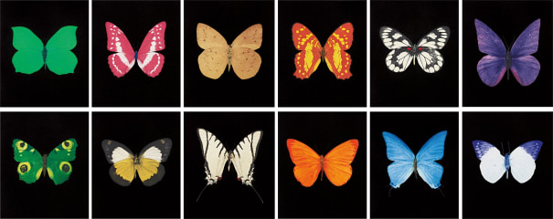 Damien Hirst Butterfly Etching 09 Phillips