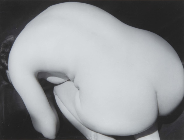 Imogen Cunningham - PHOTOGRAPHS Lot 115 October 2010 | Phillips