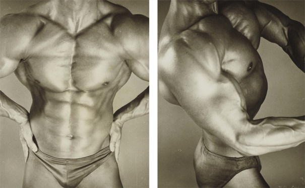 Andy Warhol Body Builder 1982 Phillips Images, Photos, Reviews