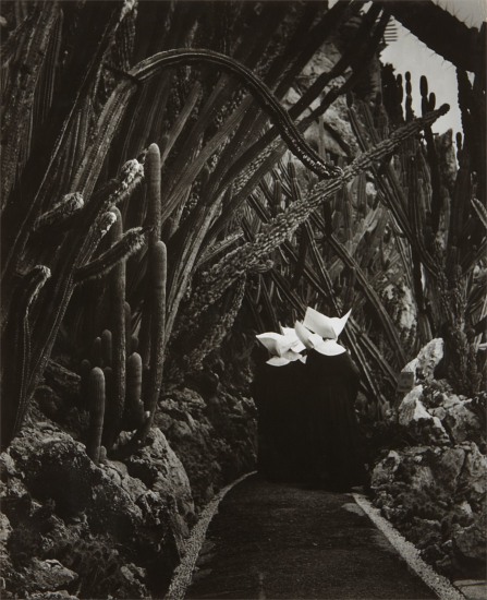 Brassaï (Gyula Halász) Photographs from the Collection of the Art