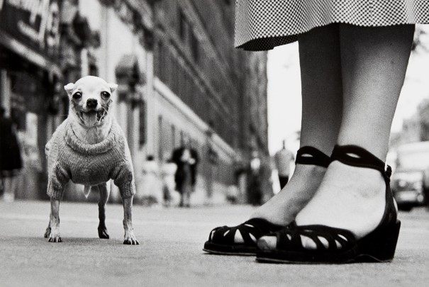 Elliott Erwitt - New York State of Mind Lot 5 March 2022