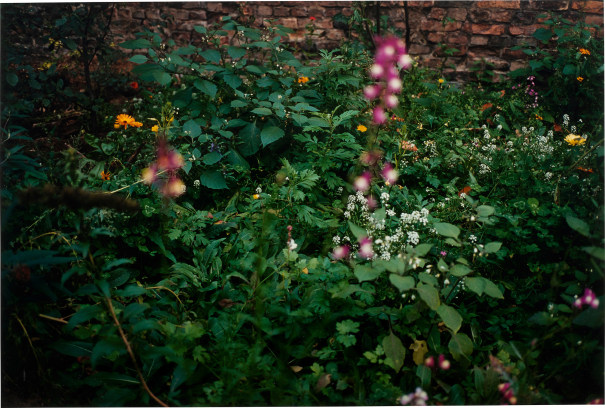 Wolfgang Tillmans - Wired: Online Au Lot 21 October 2021