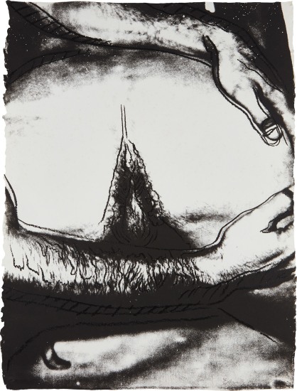 Andy Warhol Sex Parts One Plate 1978 Phillips