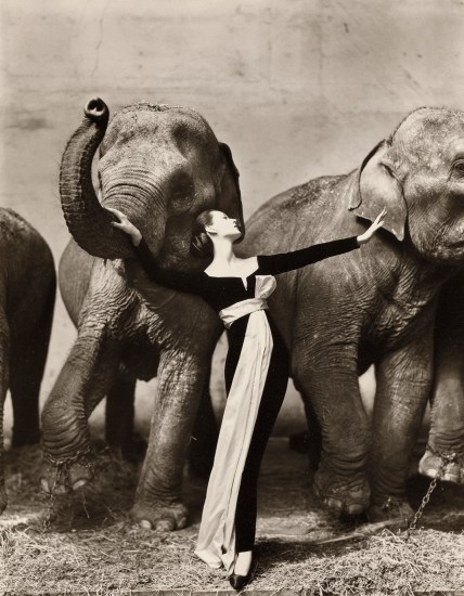 Richard Avedon Dovima With Elephants Evening Dress By Dior Cirque D Hiver Paris August 1955 Photographs London Friday September 25 Lot 40 Phillips