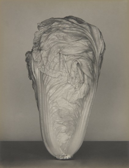 Source: Phillips Image