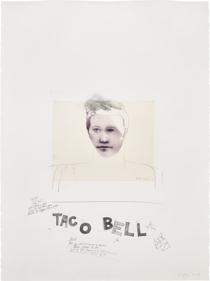 Animal Ballpoint Pen Portraits : Mel Fischer