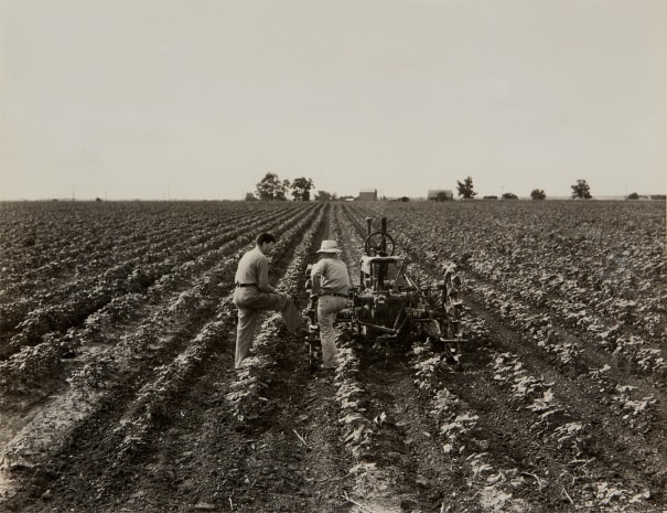 Dorothea Lange - Dorothea Lange: The Family Collection, Part Two ...