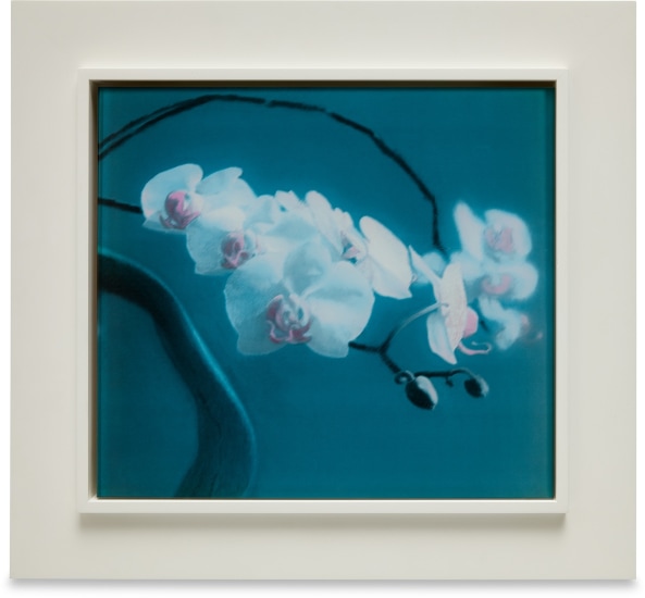 Gerhard Richter - Editions & Works on Lot 369 April 2023