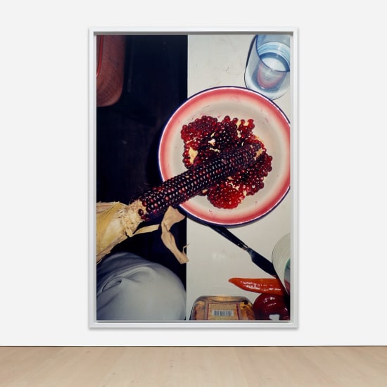 Wolfgang Tillmans - 20th Century to Now Lot 60 June 2023 | Phillips