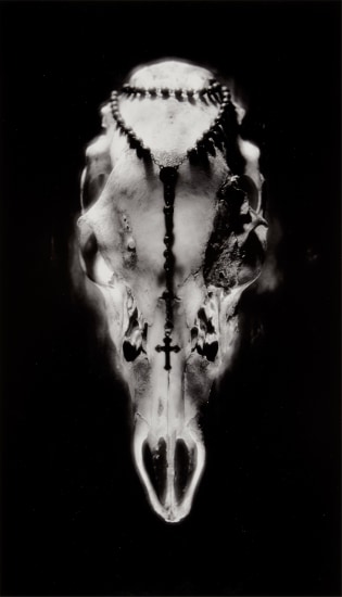 Ruth Bernhard - Inside the Photograp Lot 35 October 2023