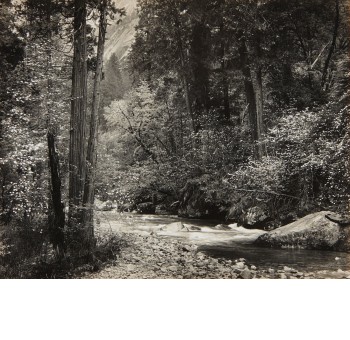 PHILLIPS : Search Results for ansel adams