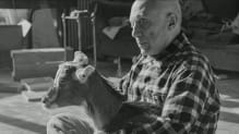 - Picasso & The Animal Kingdom | Phillips